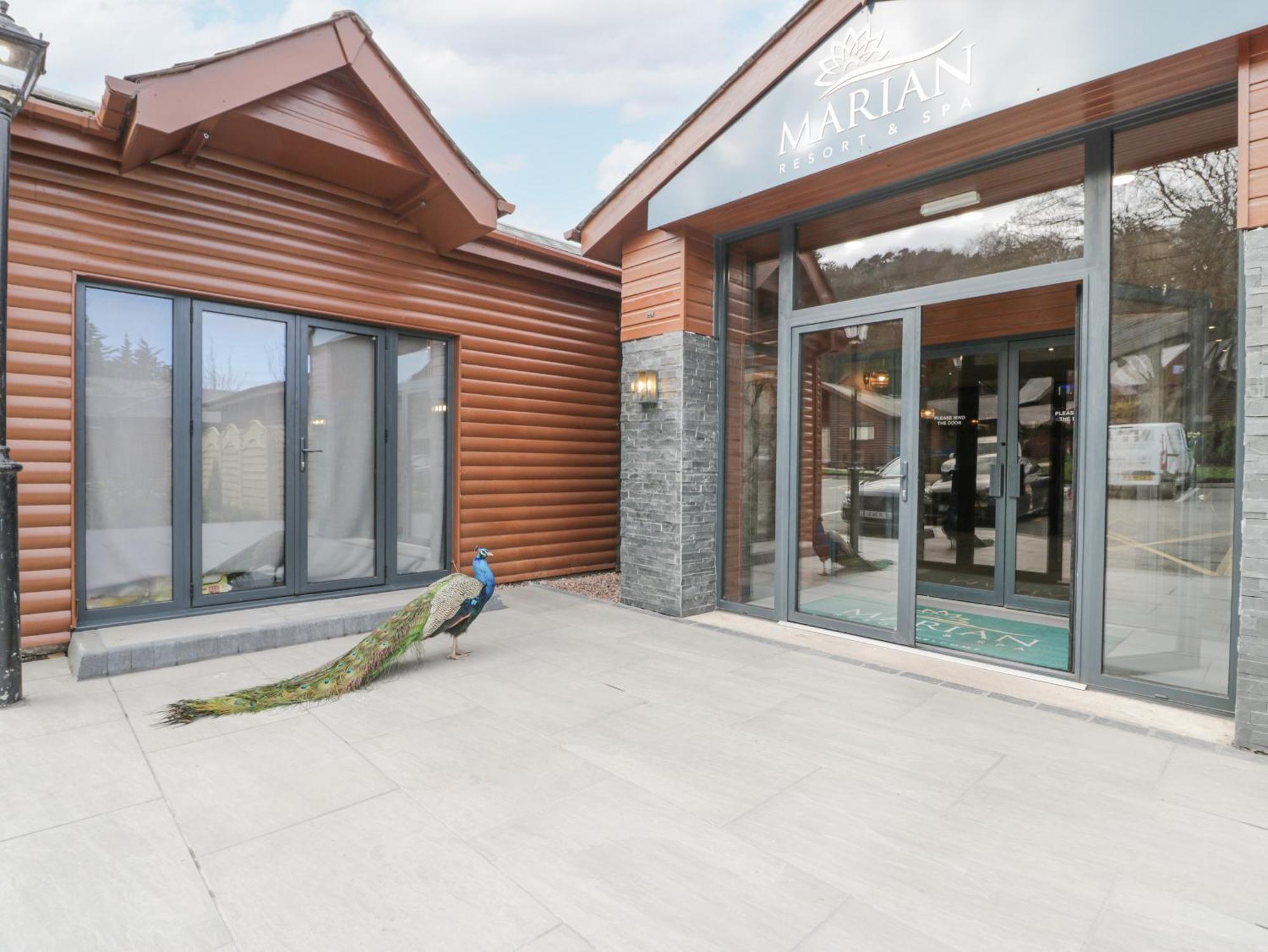 ריל Luxury Lodge 62 מראה חיצוני תמונה